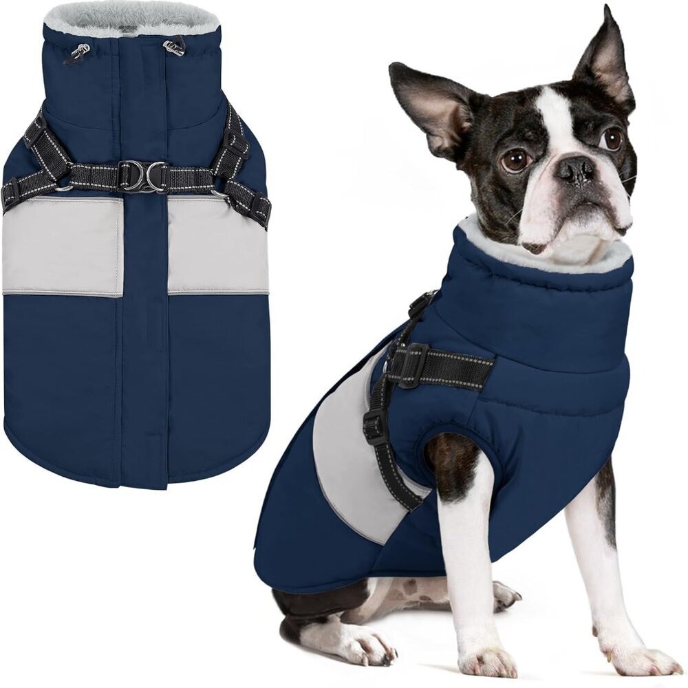Small Dog Coat with Harness Built in